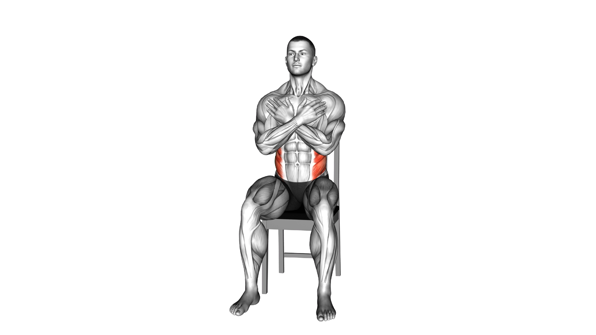 Sitting Torso Twist on a Chair exercise demonstration