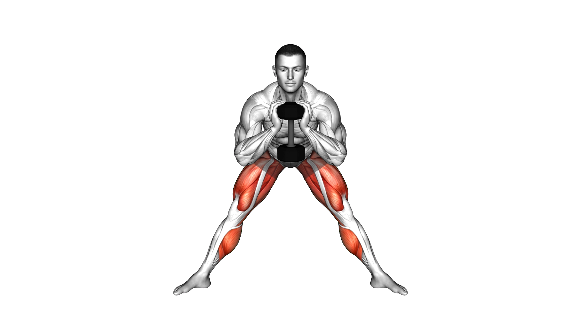 Dumbbell Goblet Side Lunge Stretch (ma exercise demonstration