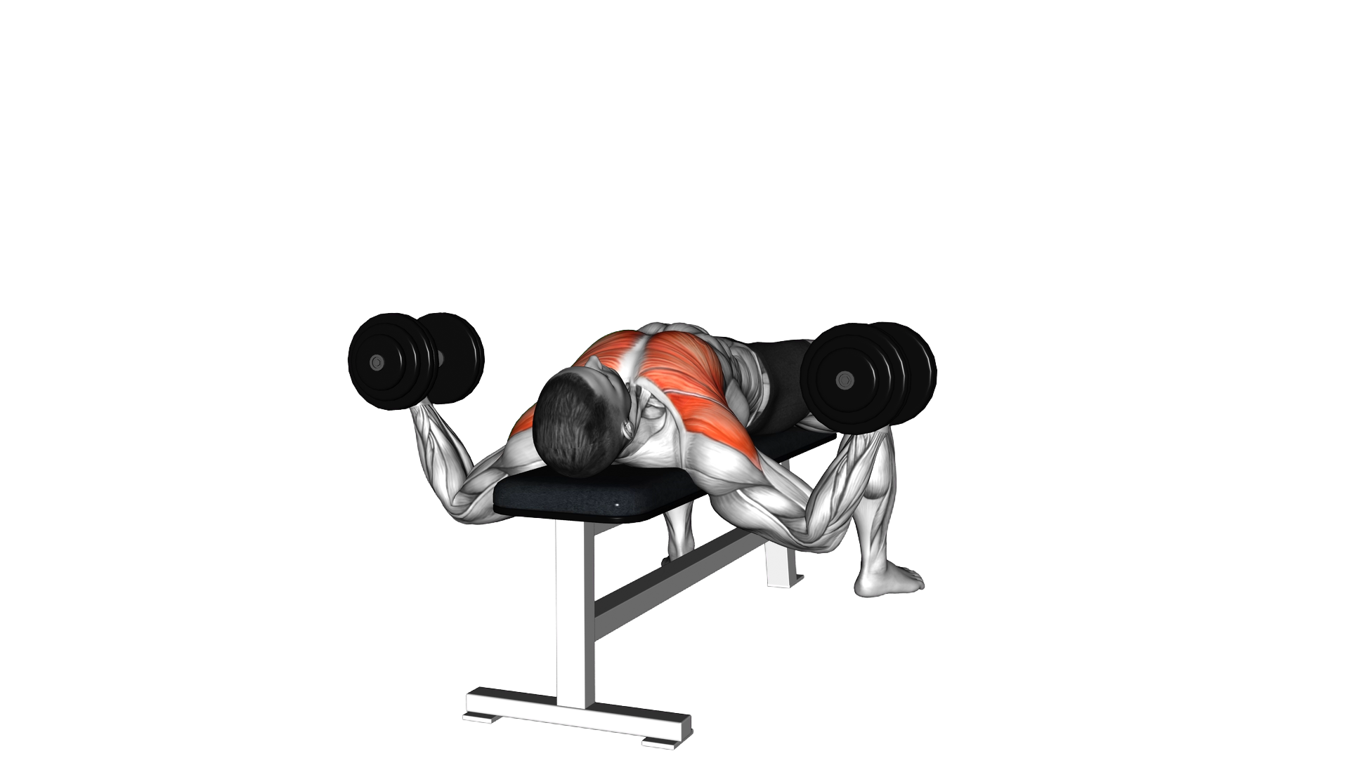 Dumbbell Alternative Fly exercise demonstration