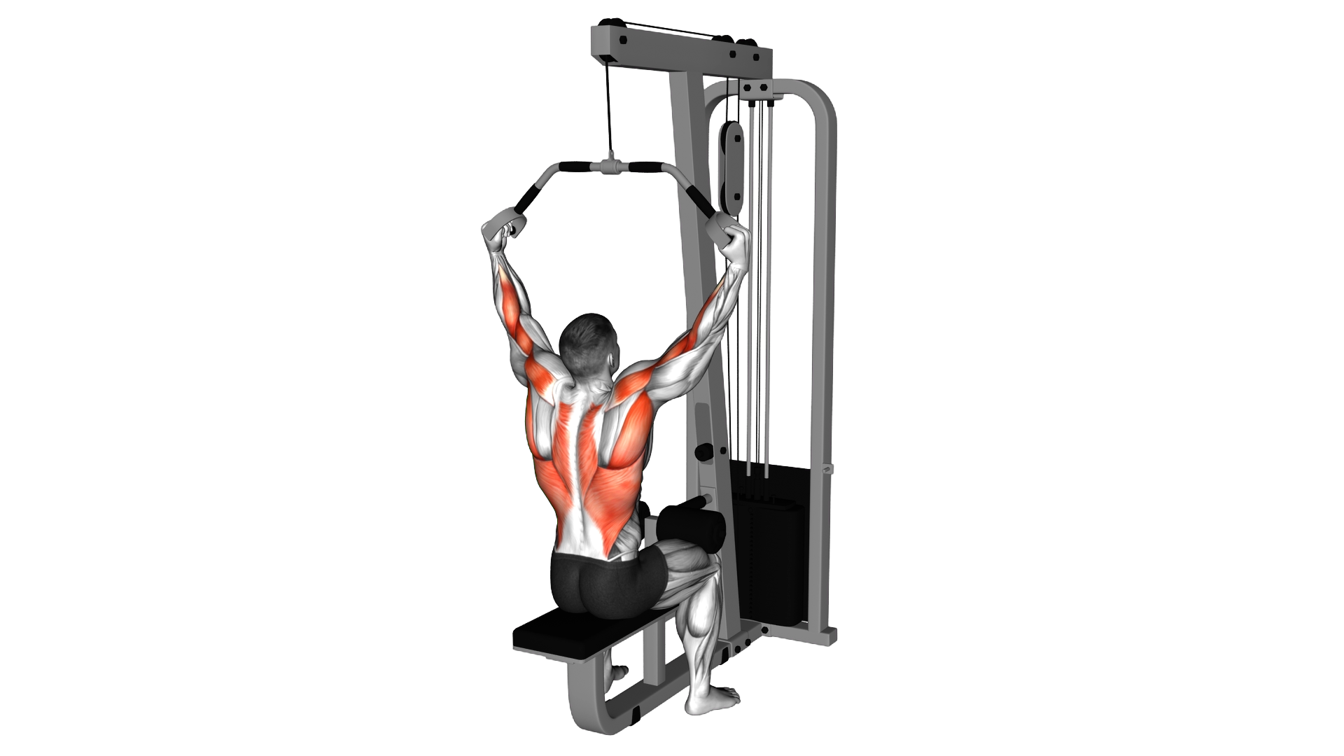 Cable Neutral Grip Wide Pulldown exercise demonstration