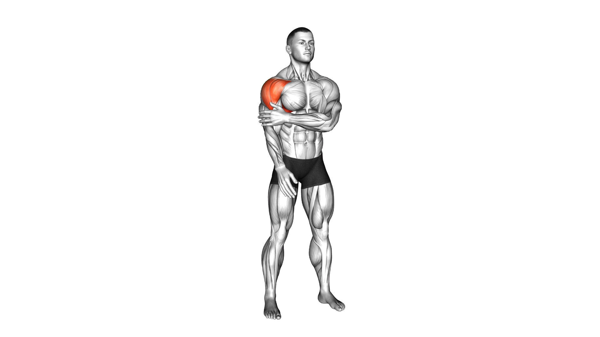 Bodyweight Single Arm Lateral Raise exercise demonstration