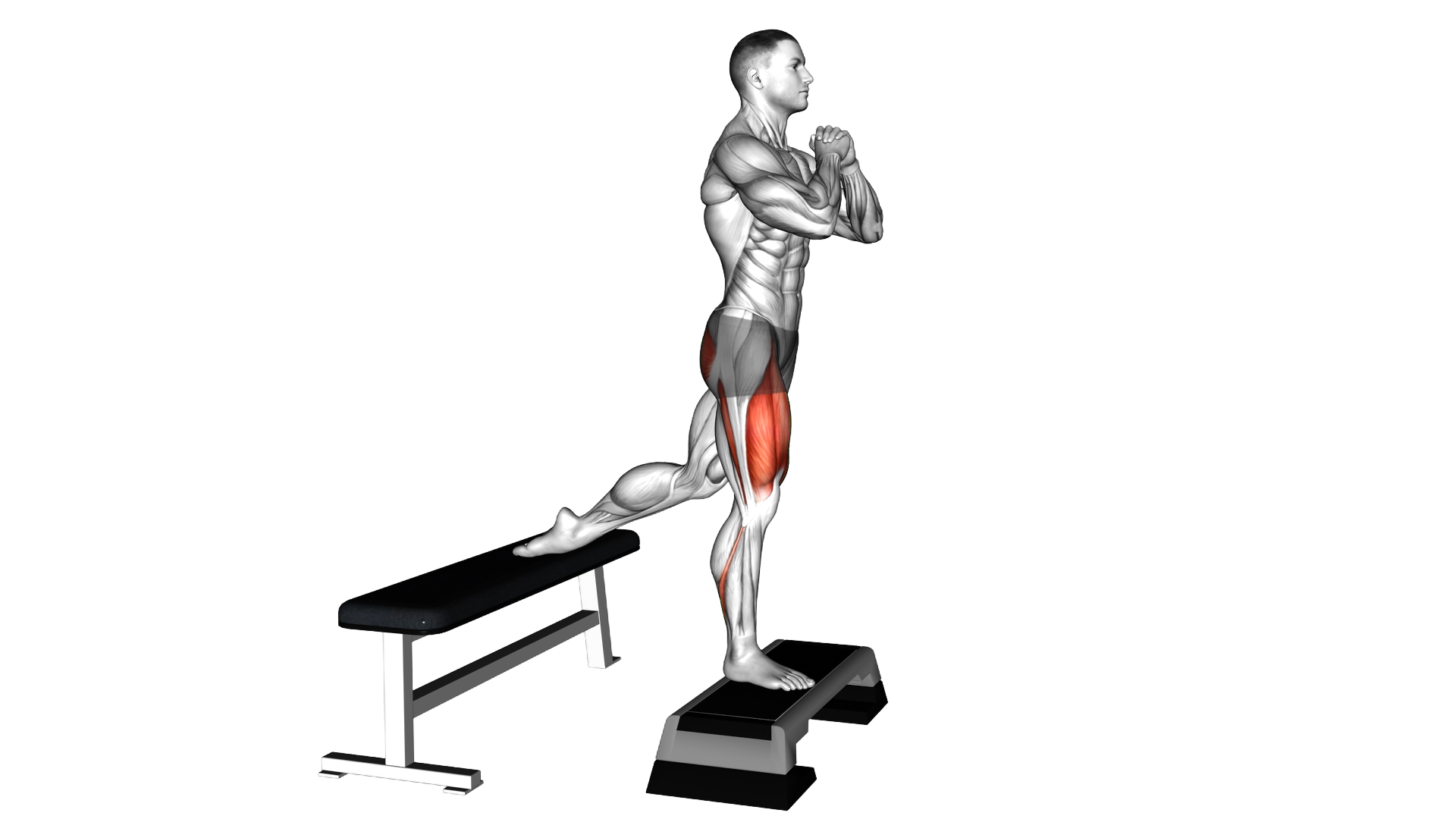 Elevated Split Squat exercise demonstration
