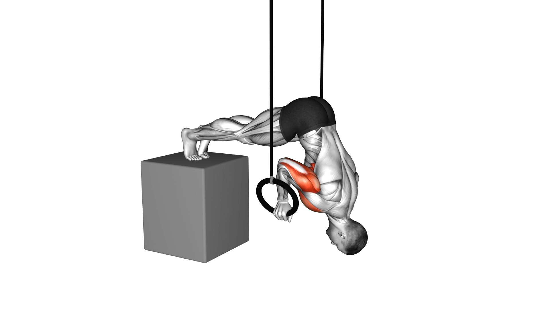 Ring Elevanted Pike Push up from deficit exercise demonstration