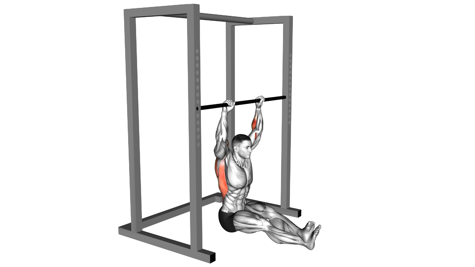 Seated Isometric Hold Pull up exercise demonstration