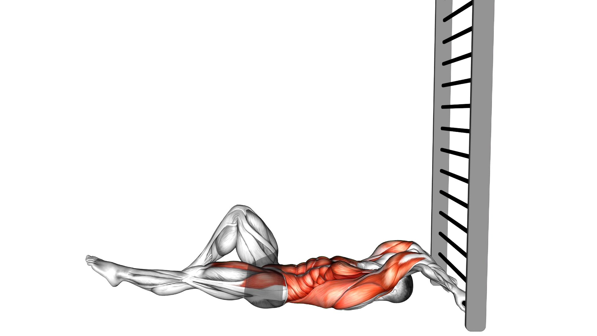 Lying Floor Single Leg Negative Dragon Flag exercise demonstration