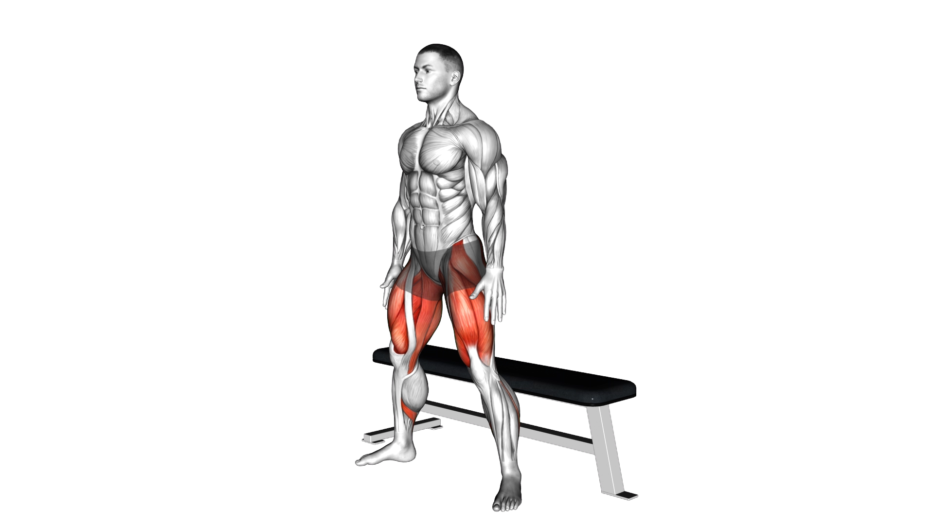 Wide Bench Air Squat exercise demonstration