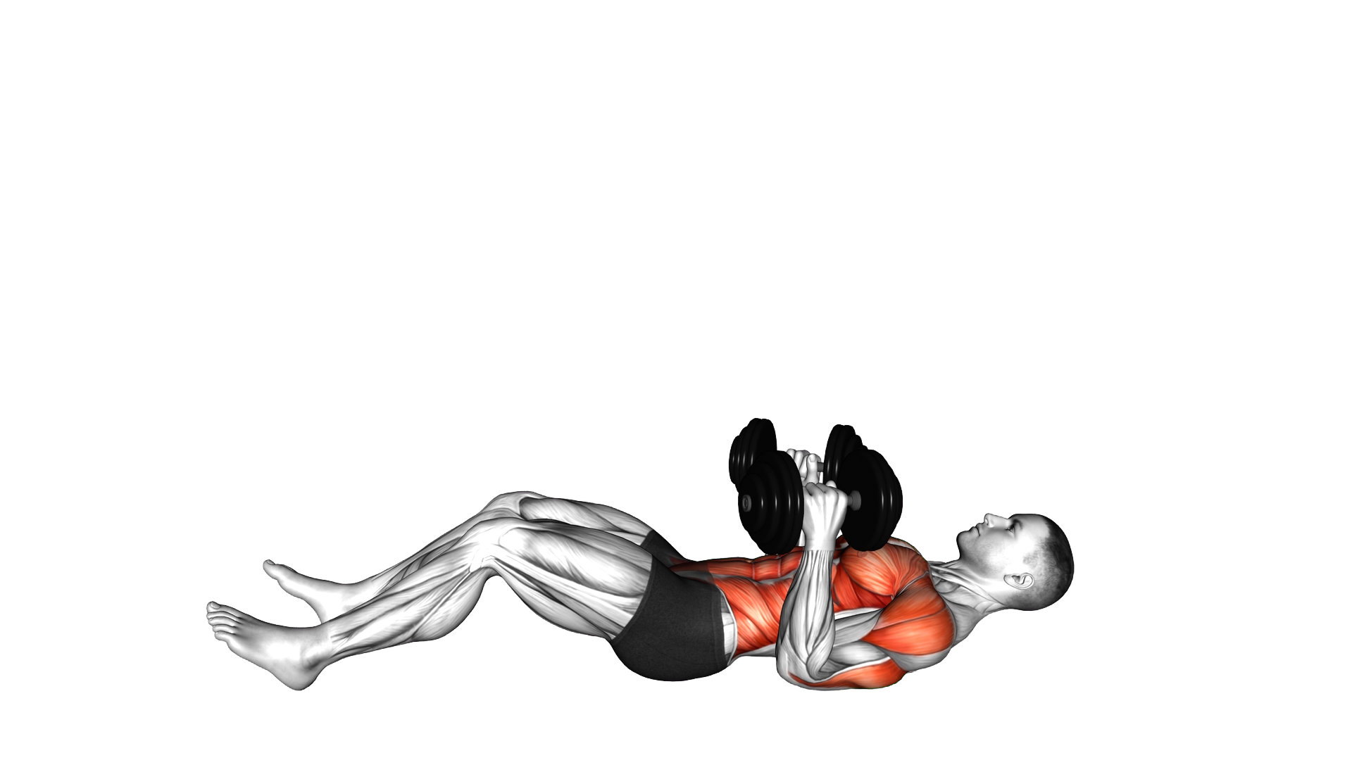 Dumbbell Sit up to Press exercise demonstration