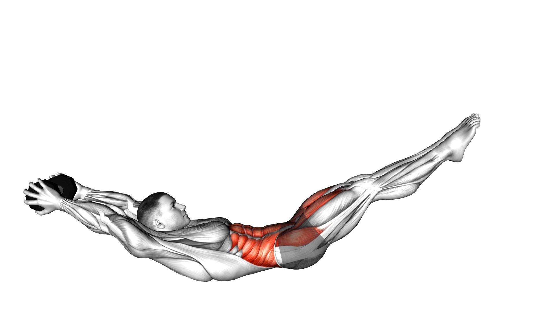 Dumbbell Hollow Rock exercise demonstration