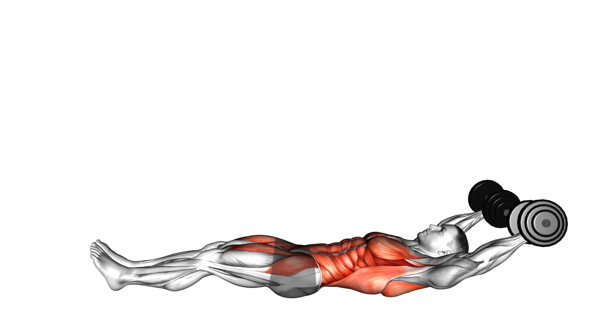Dumbbell V up exercise demonstration