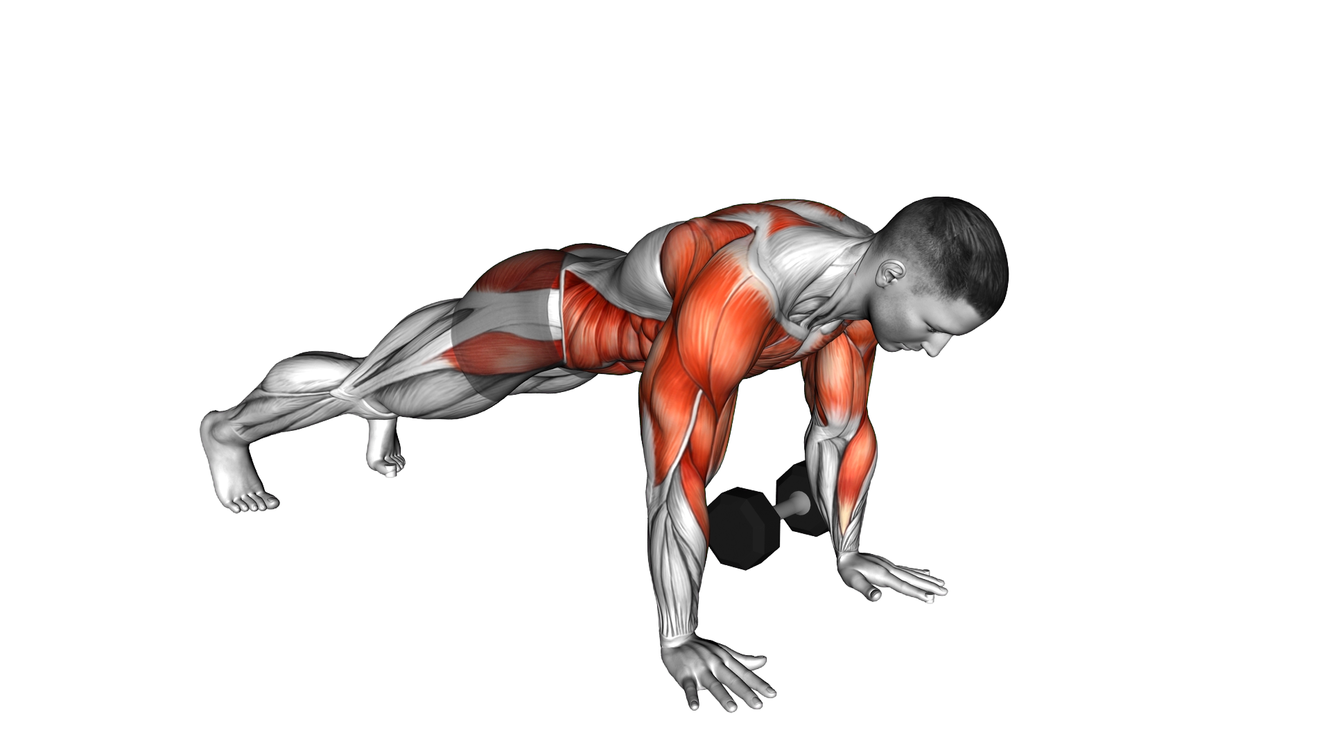 Dumbbell Plank Pass Through Push up exercise demonstration