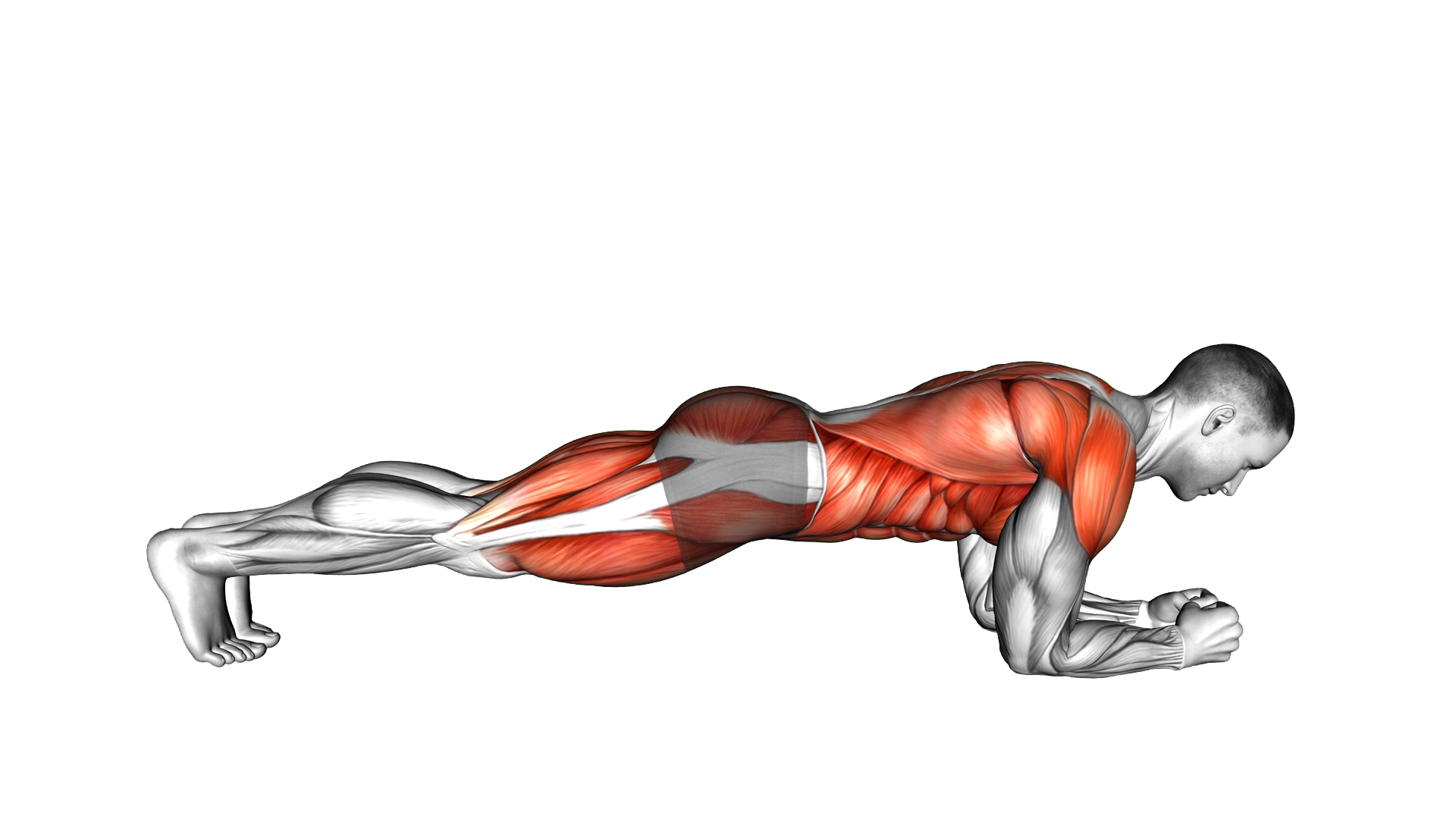 Plank Pike to Climber exercise demonstration