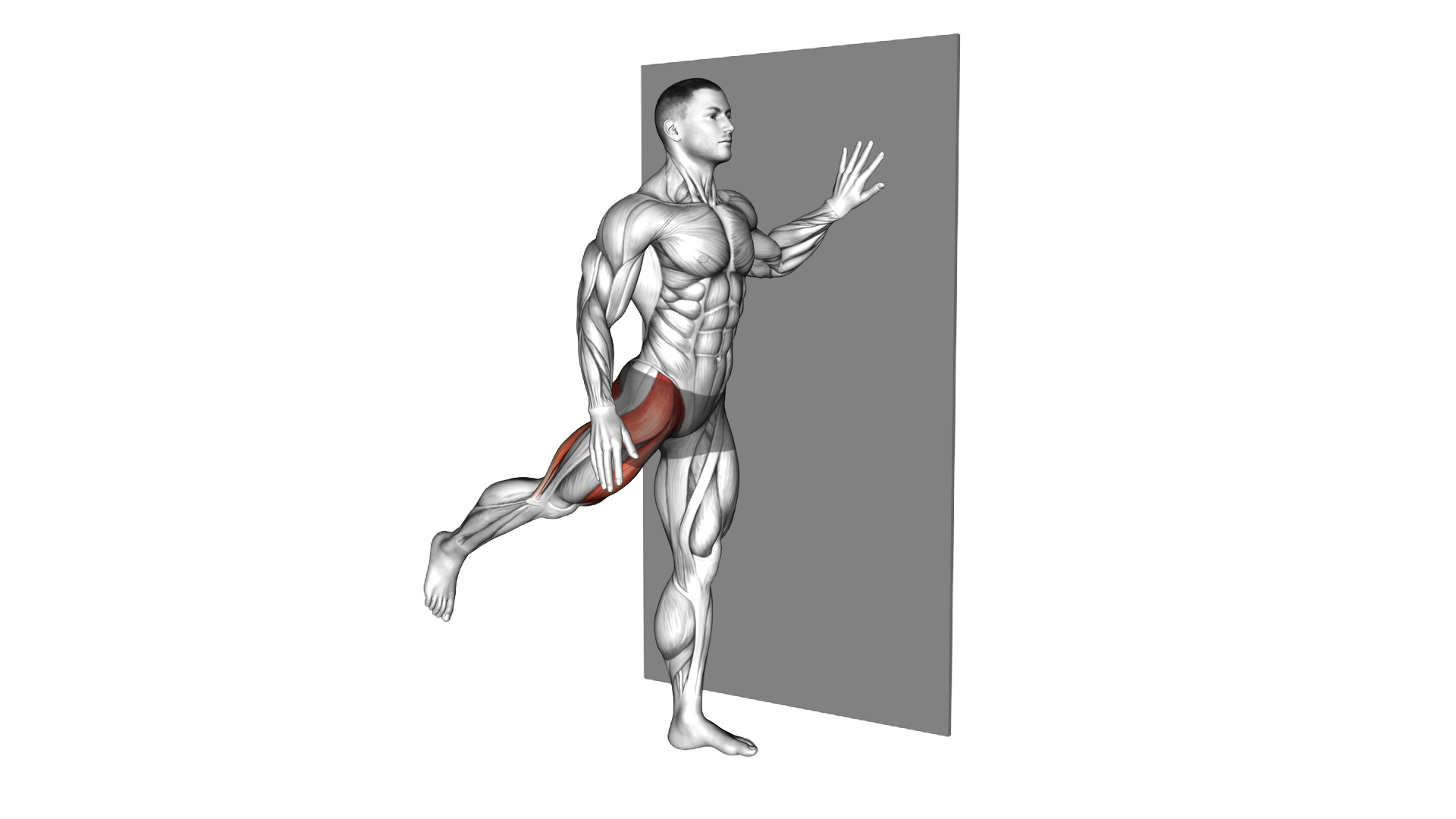 Wall Supported Front Leg Swing exercise demonstration