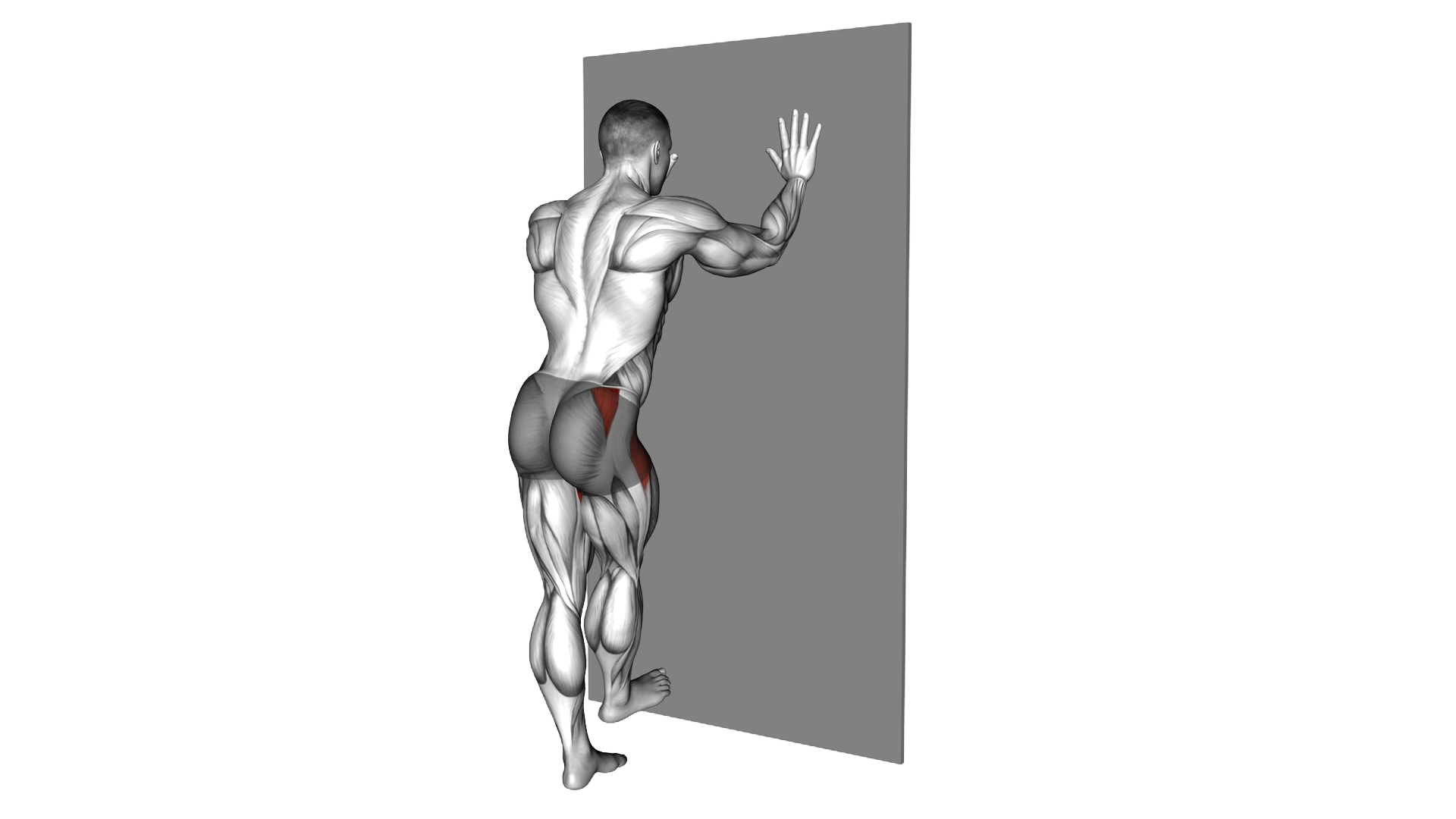 Wall Supported Side Leg Swing exercise demonstration