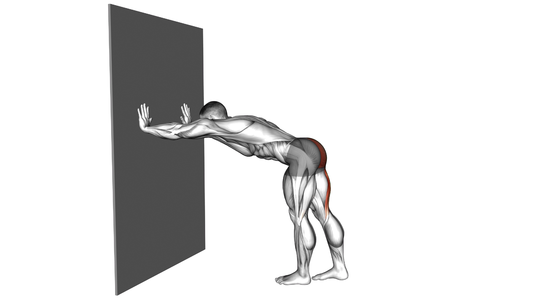 Wall Supported Back Leg Lift exercise demonstration