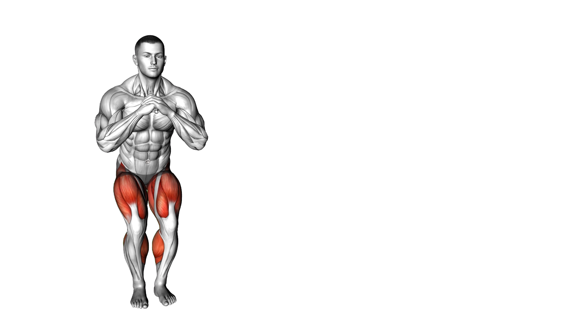 Bodyweight Lateral Walk exercise demonstration