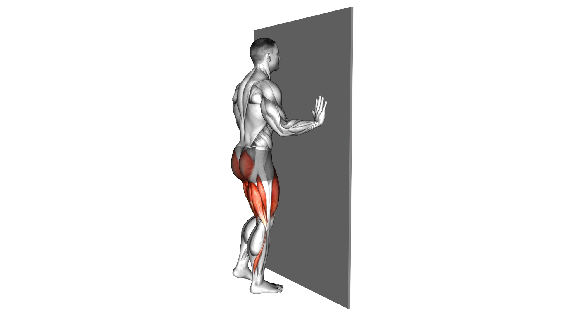 Wall Supported Reverse Lunge exercise demonstration
