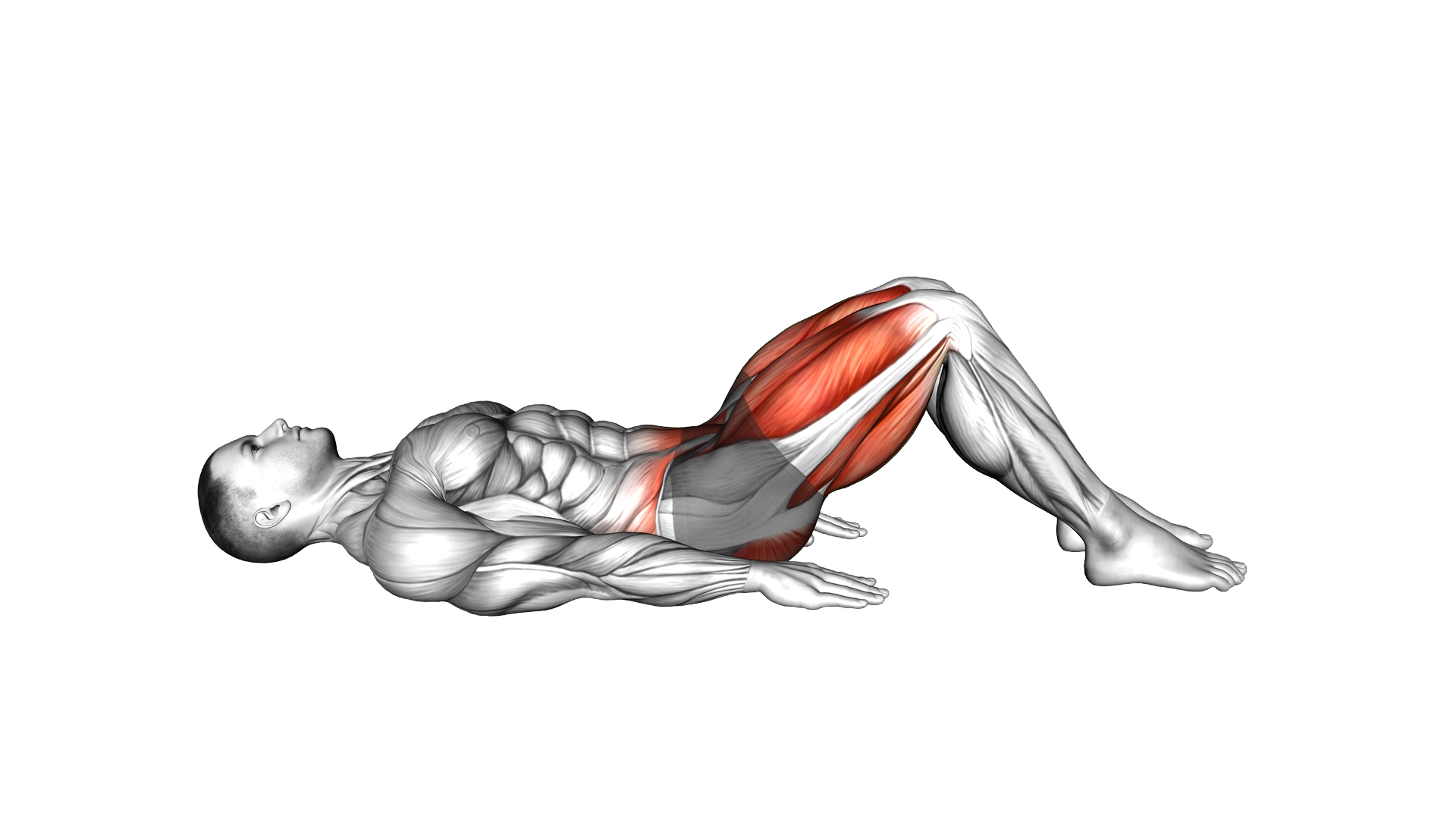 Hamstring Bridge March exercise demonstration