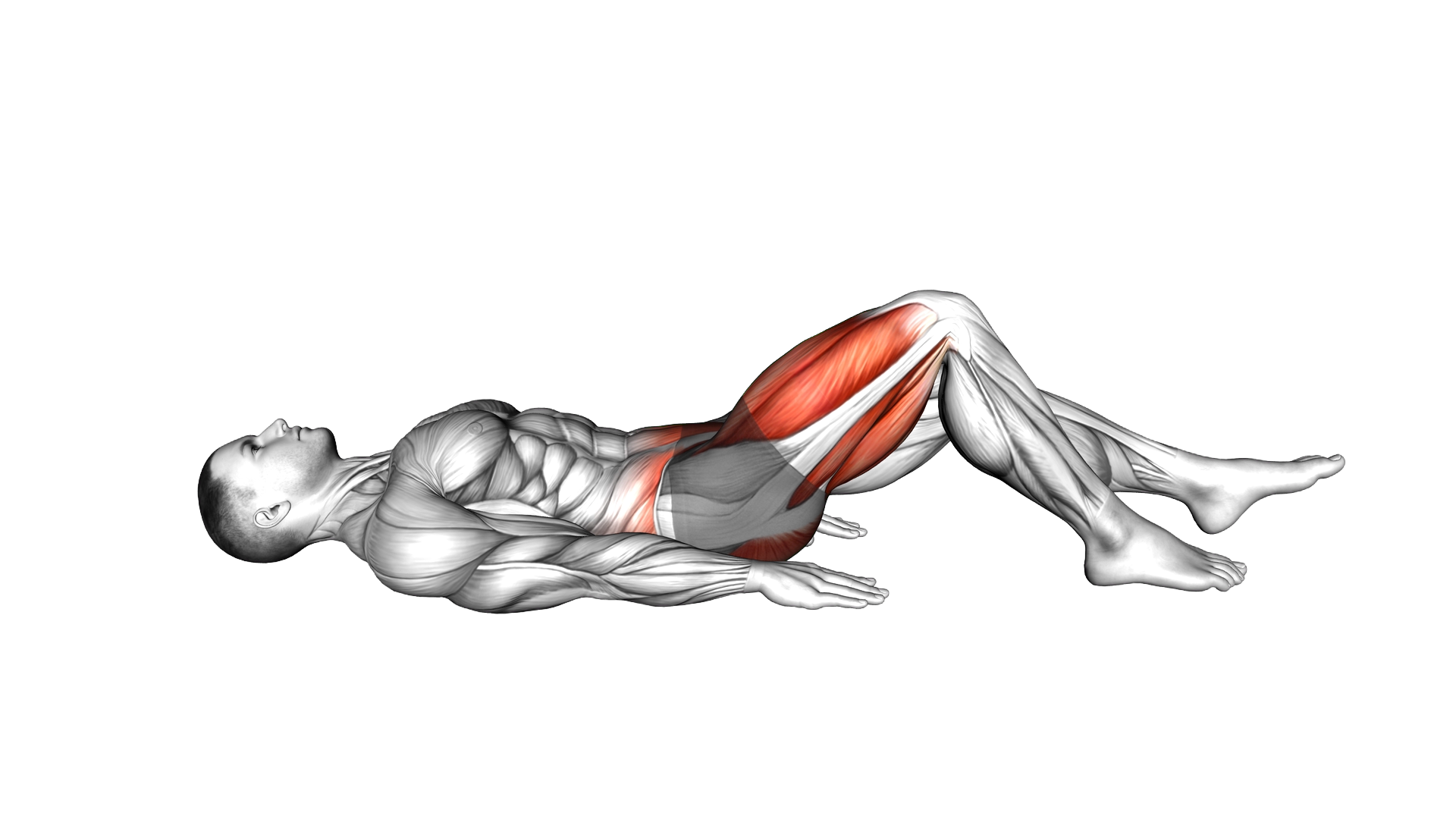 Single Leg Hamstring Bridge exercise demonstration