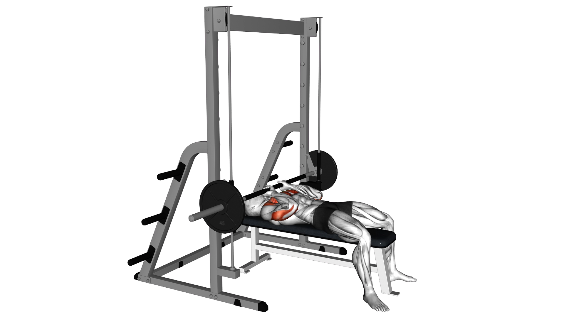 Smith JM Bench Press exercise demonstration