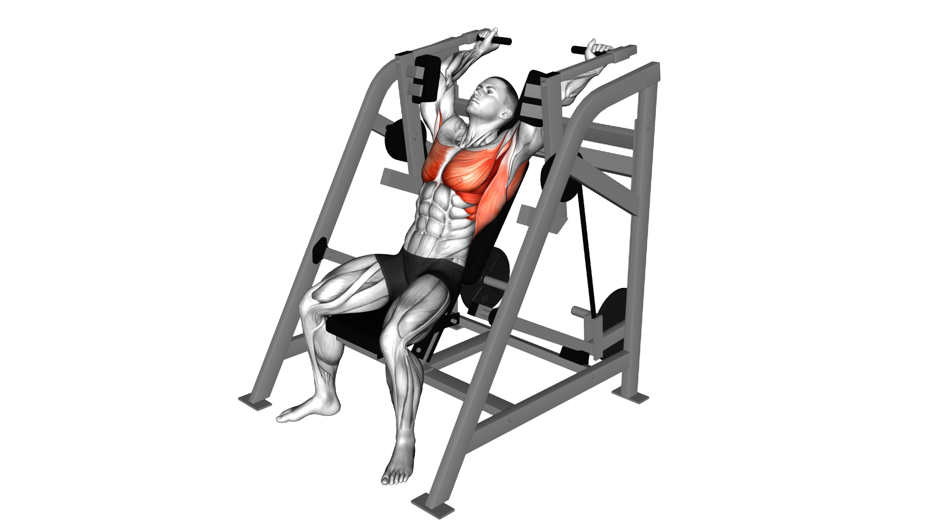 Lever Alternating Pullover (plate loaded) exercise demonstration