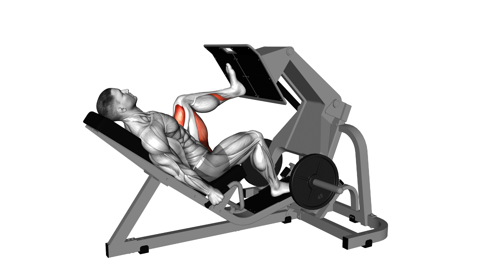 Lever Angled Single Leg Press exercise demonstration