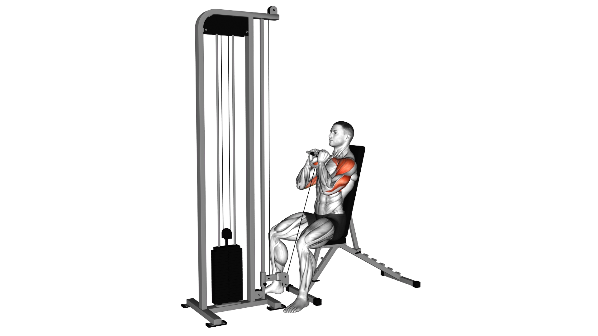 Cable Seated Front Press exercise demonstration