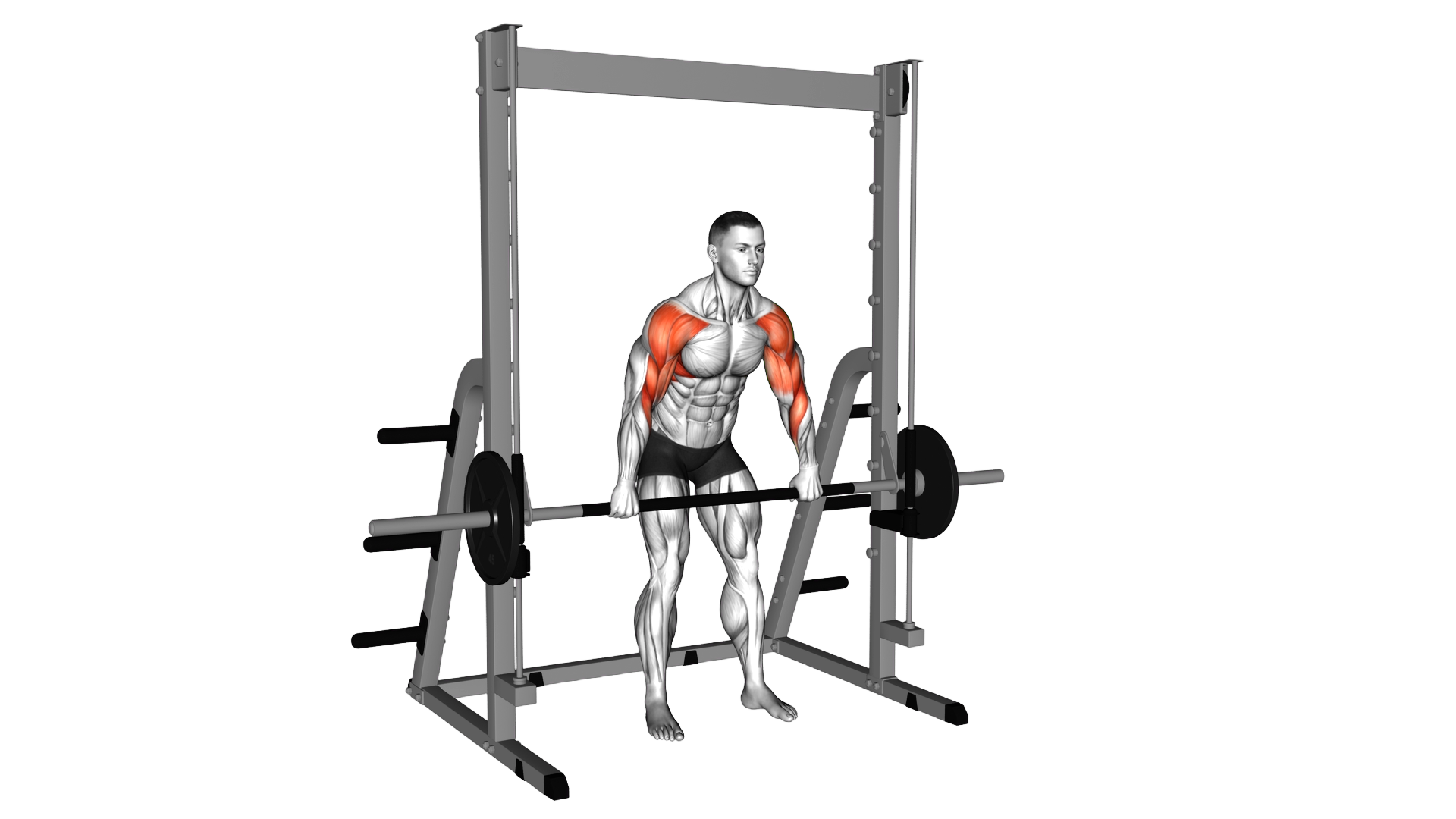 Smith High Pull exercise demonstration