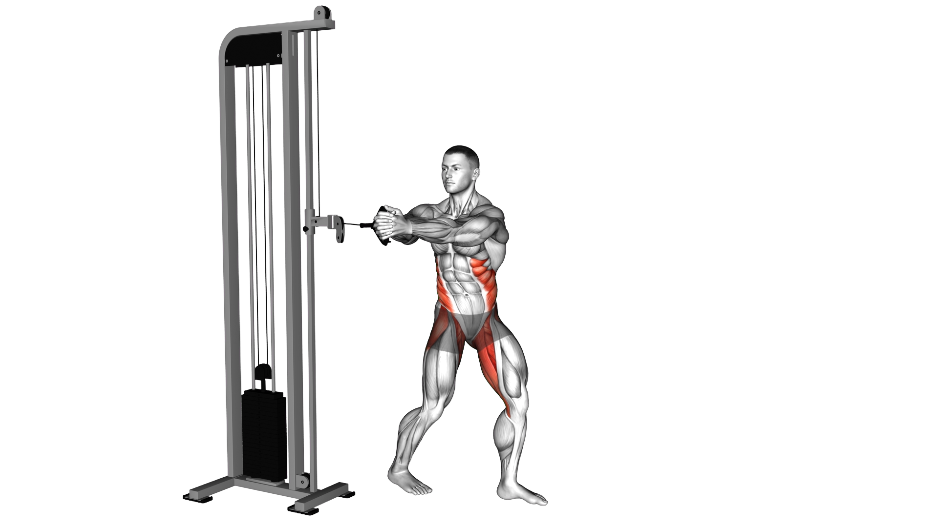 Cable Oblique Twist exercise demonstration