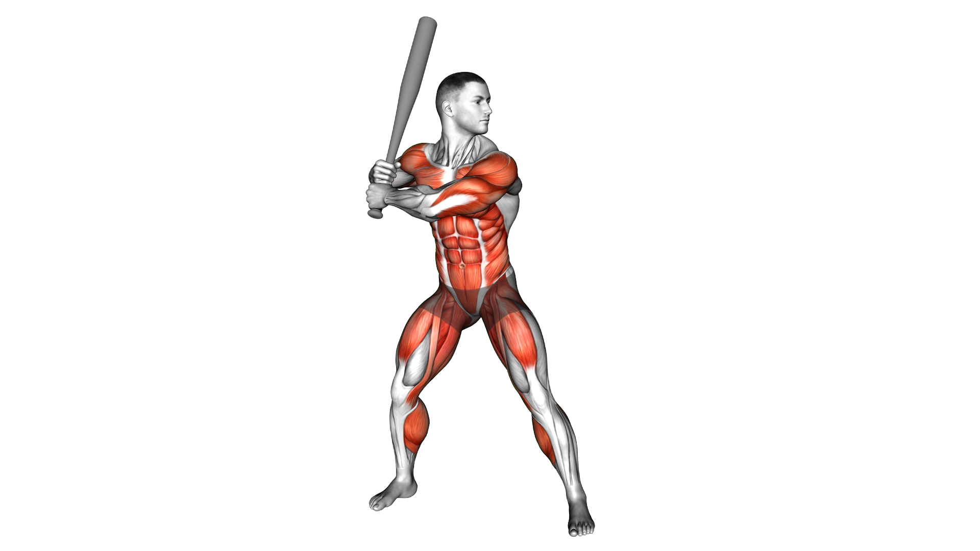 Baseball Hit exercise demonstration