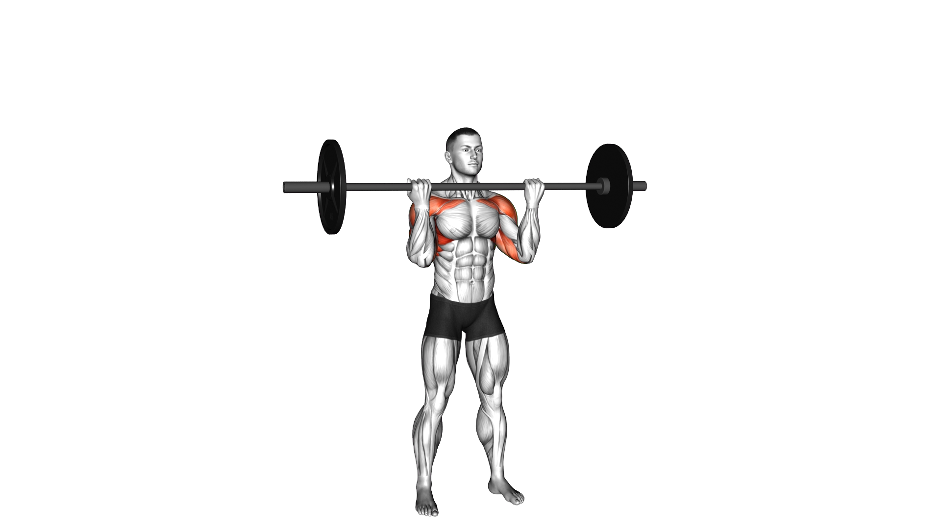 Barbell Reverse Grip Overhead Press exercise demonstration