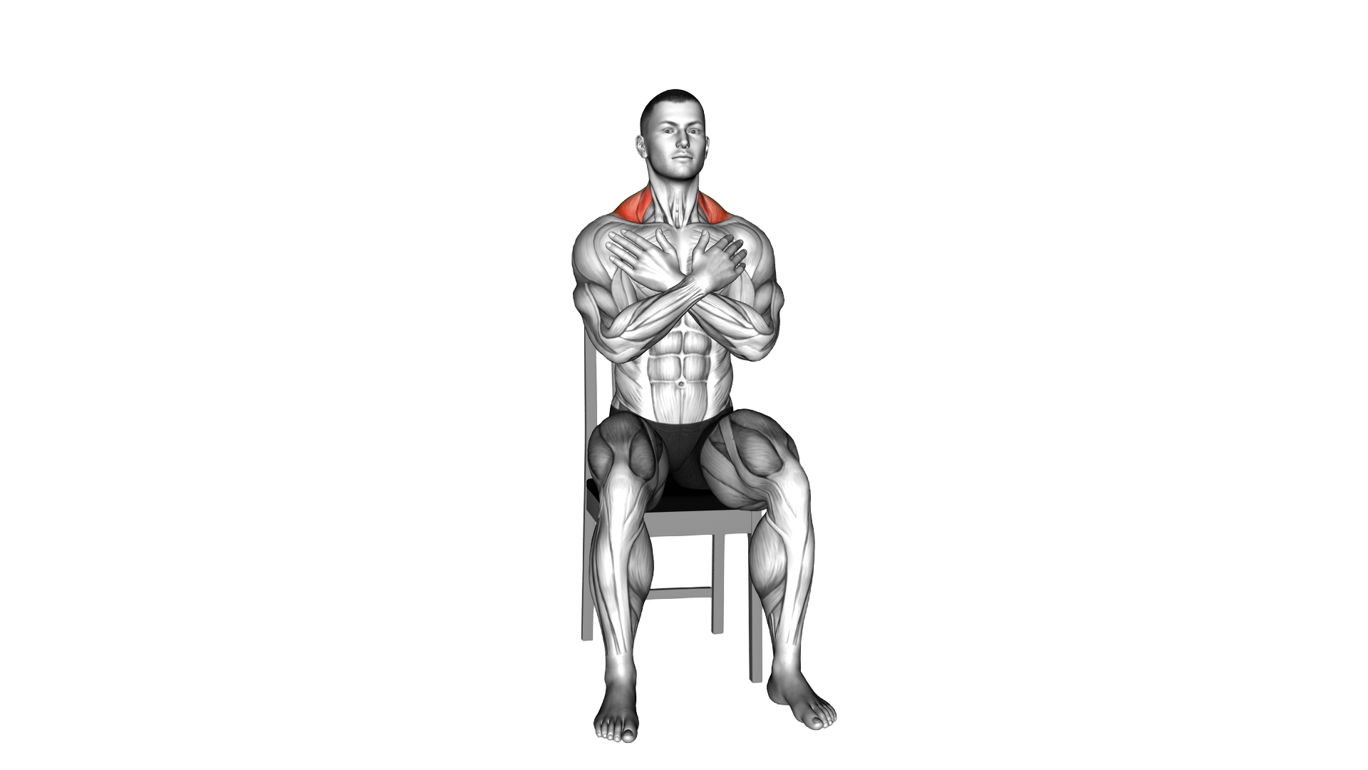 Bodyweight Sitting Alternating Shrug exercise thumbnail