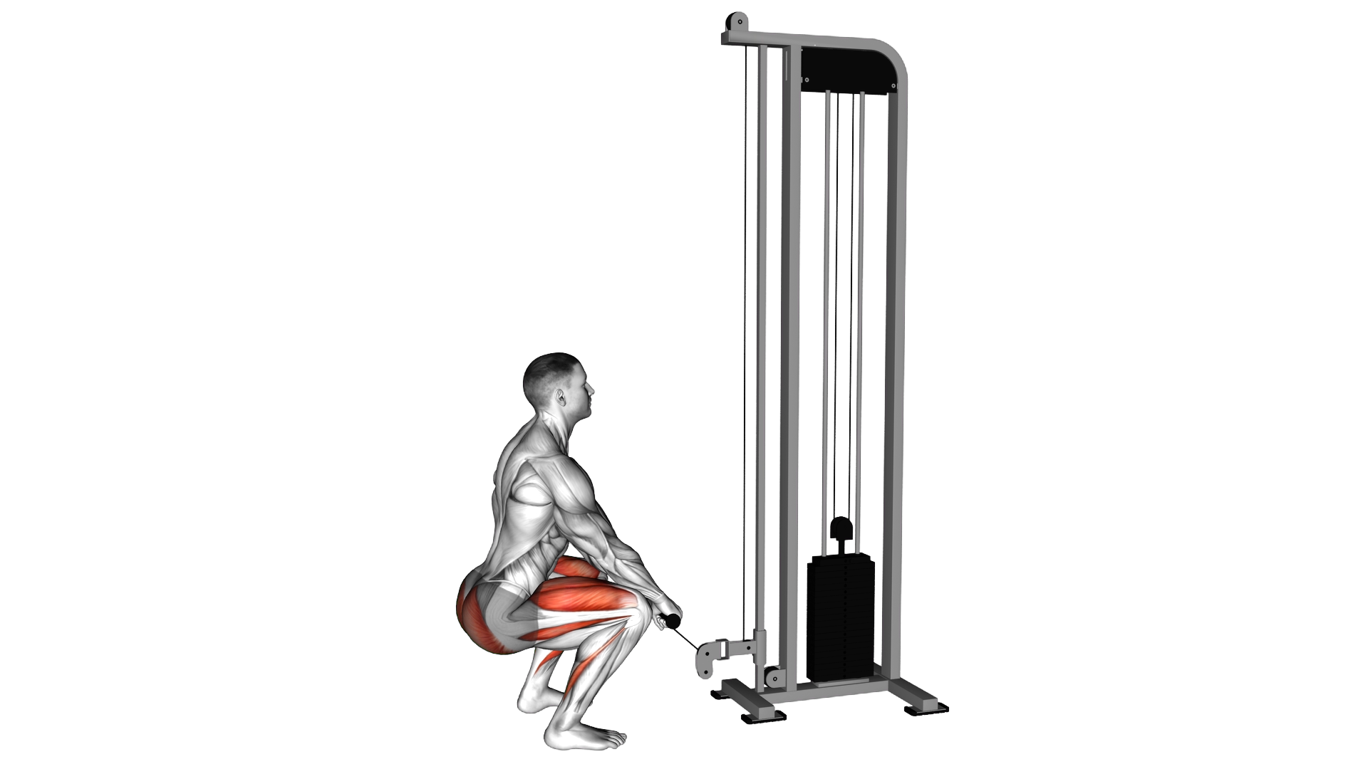 Cable Squat exercise demonstration