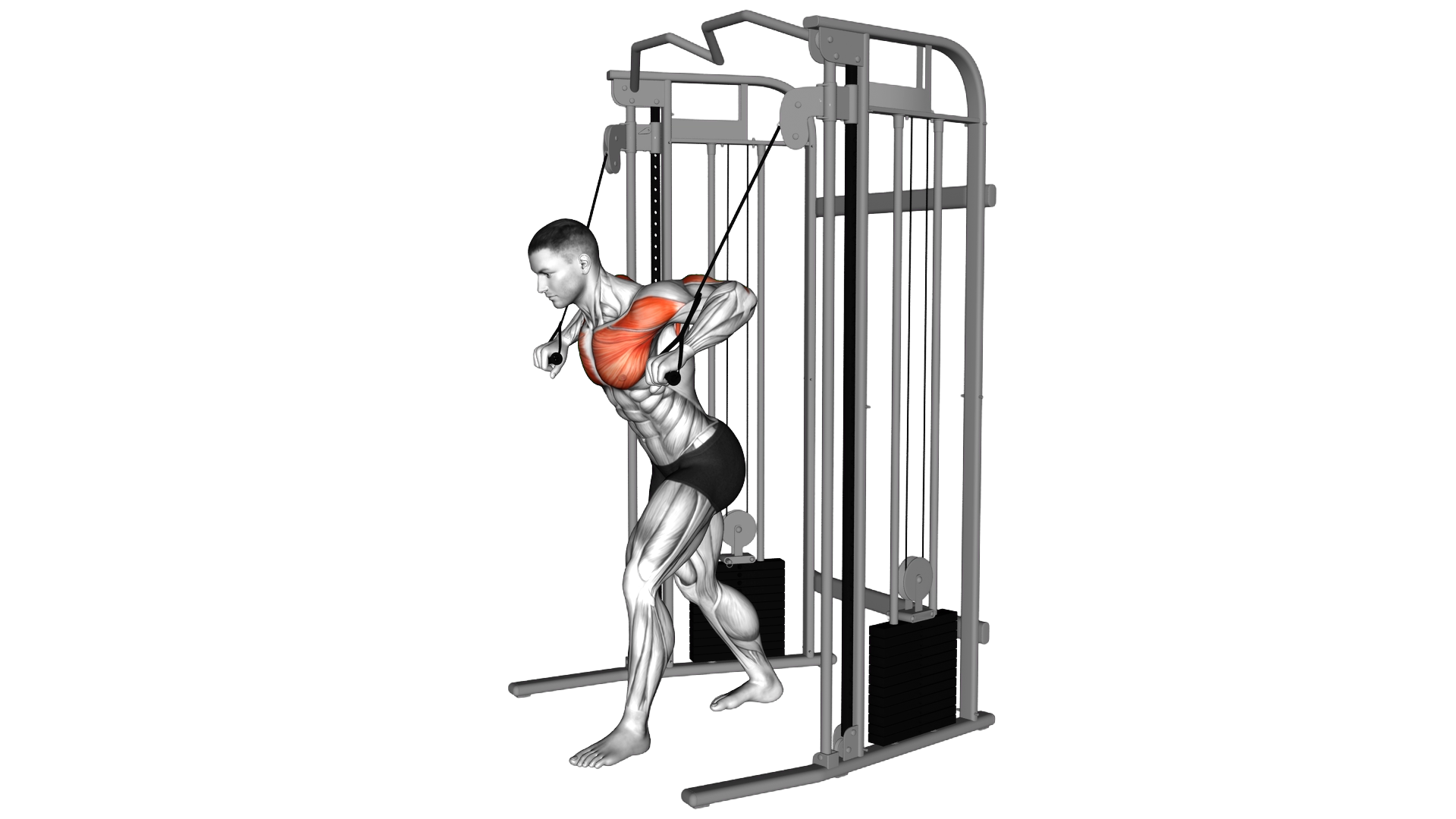 Cable Low Chest Press exercise demonstration