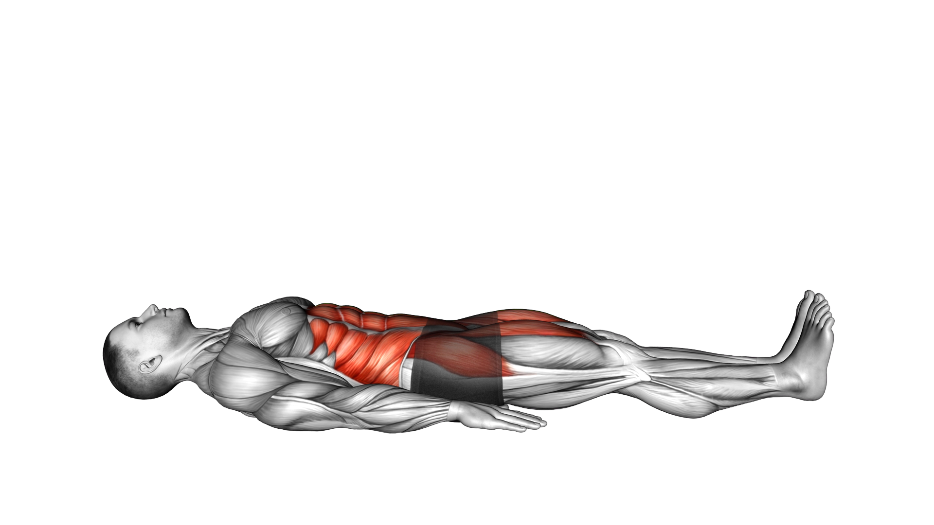 Lying Floor 6 Inch Hold exercise demonstration