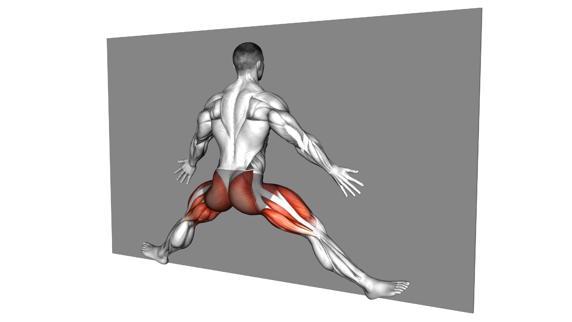 Chest to Wall Middle Split exercise demonstration