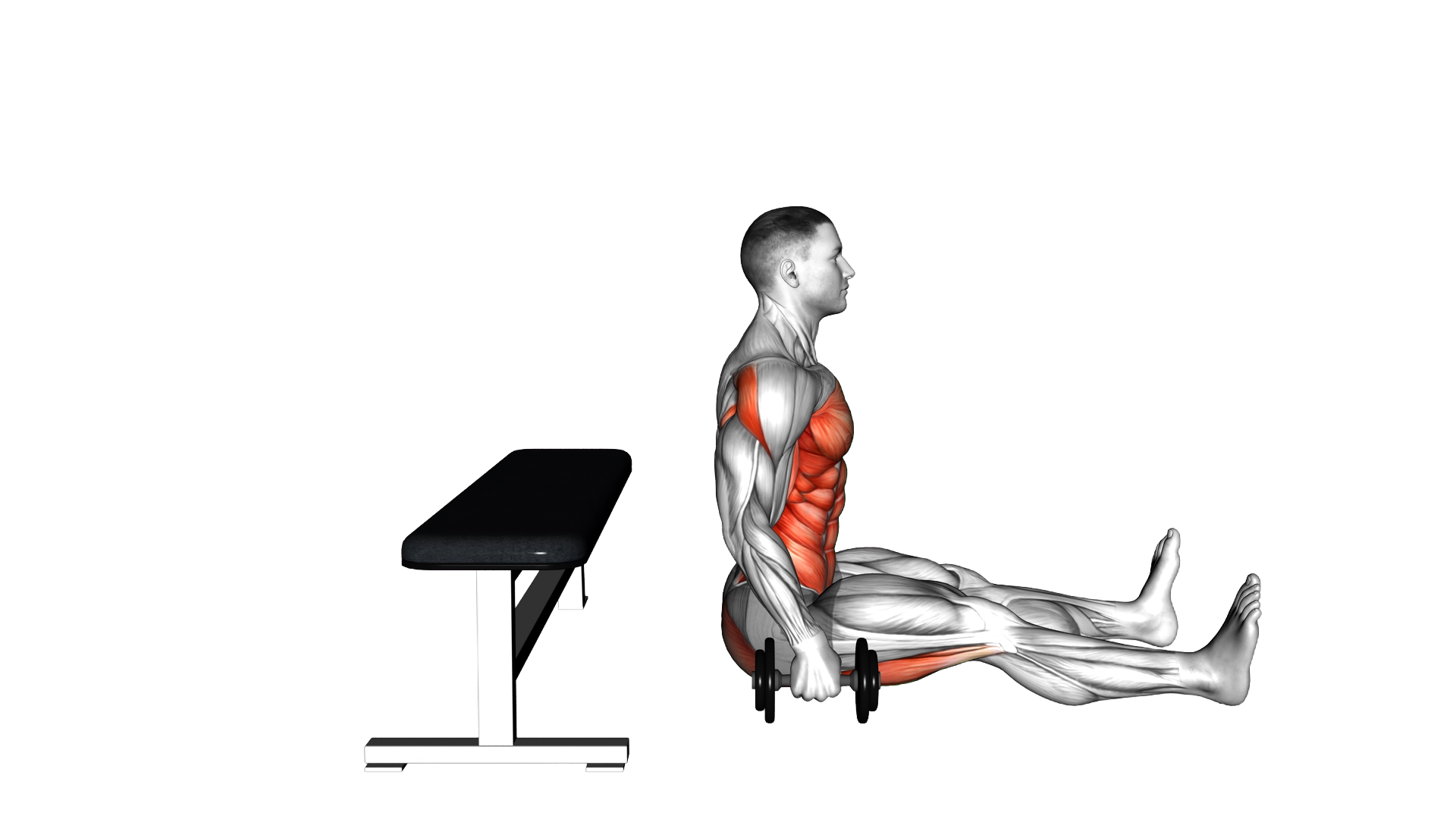 Back Bend Over Bench Stretch exercise demonstration
