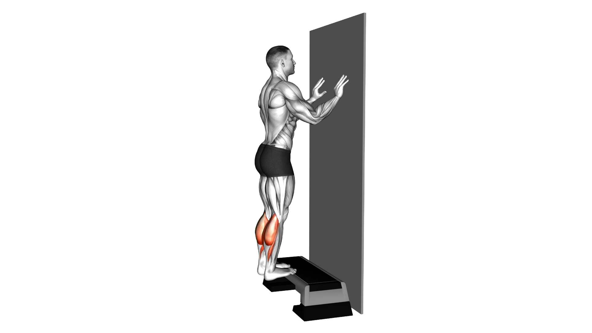 Standing Calf Stretch with Wall Supported exercise demonstration
