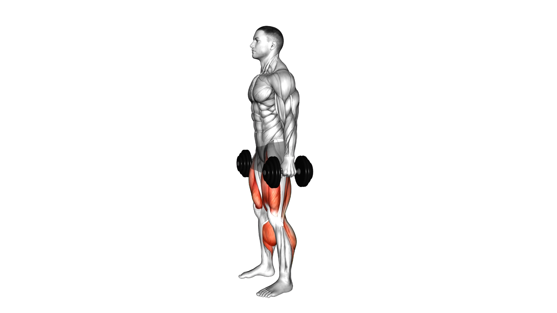 Dumbbell Romanian Deadlift to Squat exercise demonstration