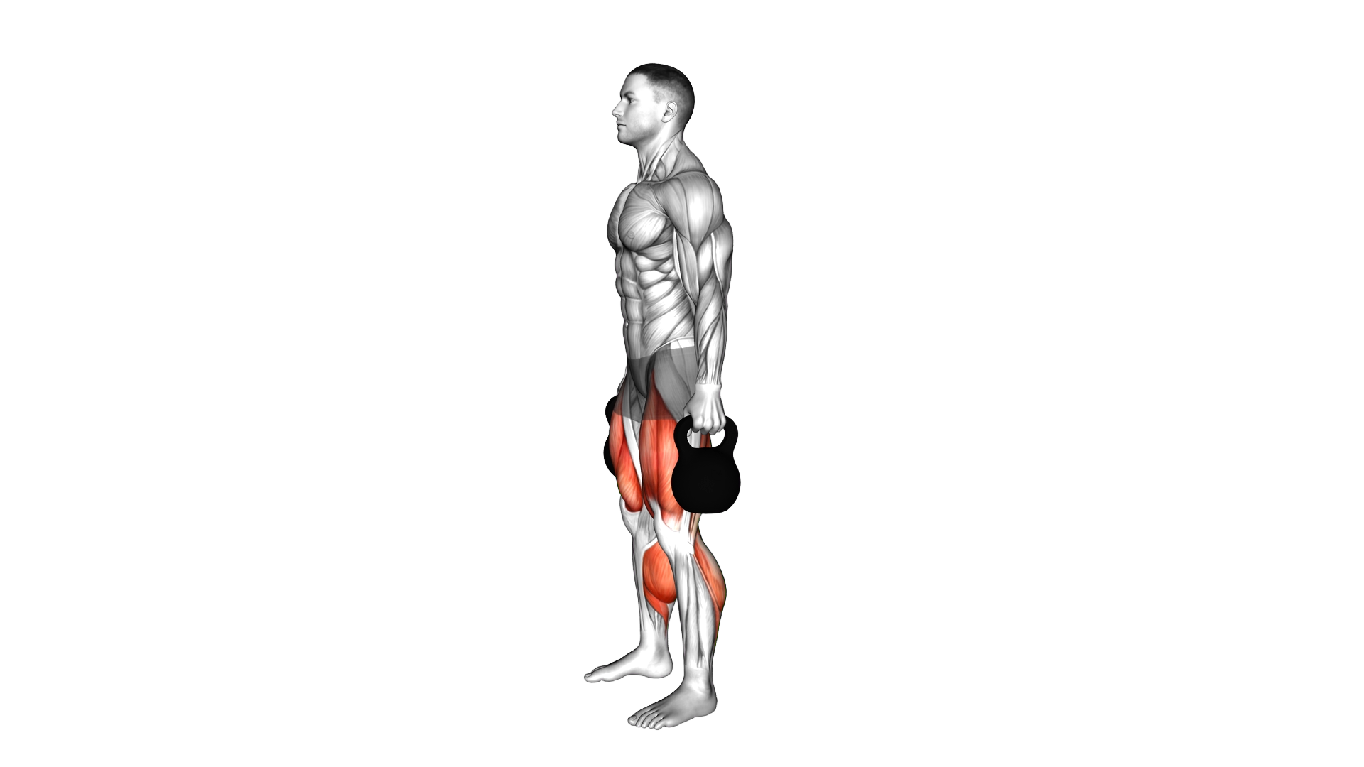 Kettlebell Romanian Deadlift to Squat exercise demonstration