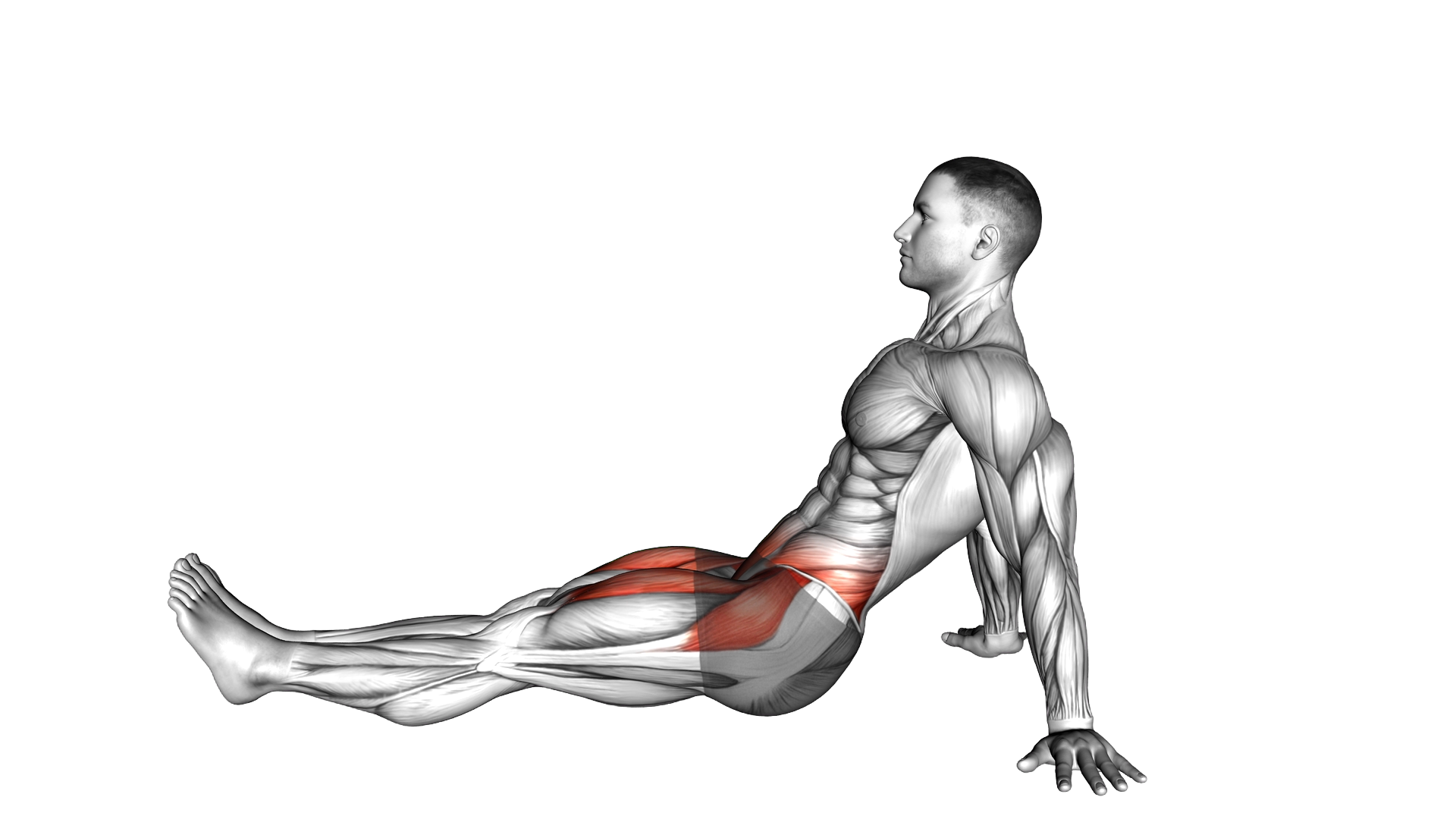 Siting Floor Leg Raise exercise demonstration