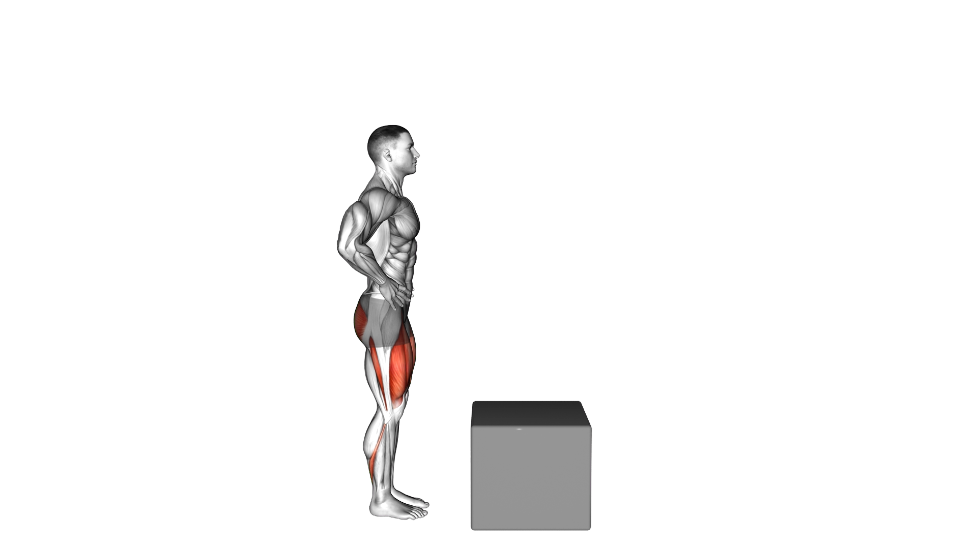 Step Up on Box exercise thumbnail