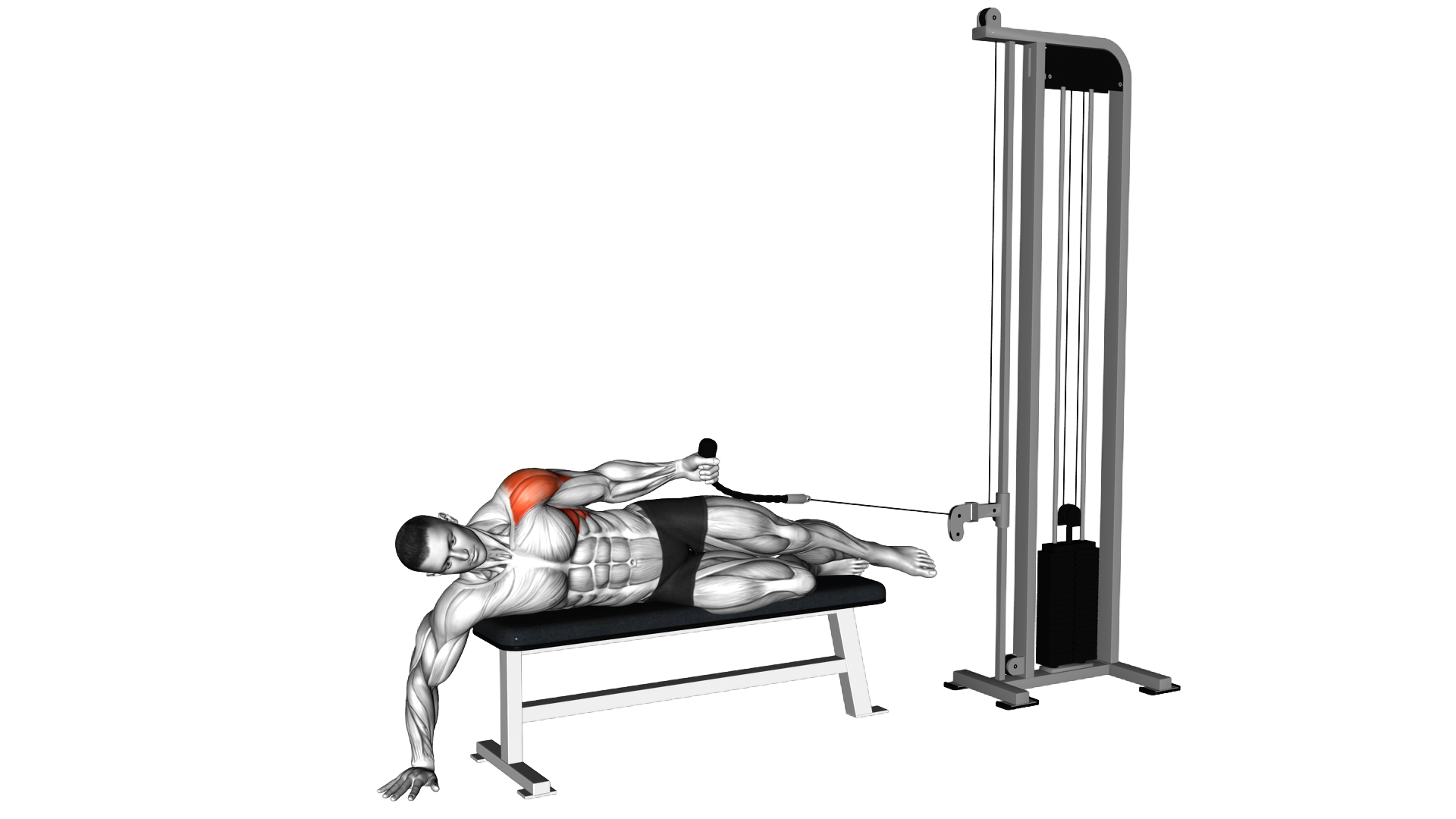 Cable Side Lying Single Arm Lateral Raise exercise demonstration