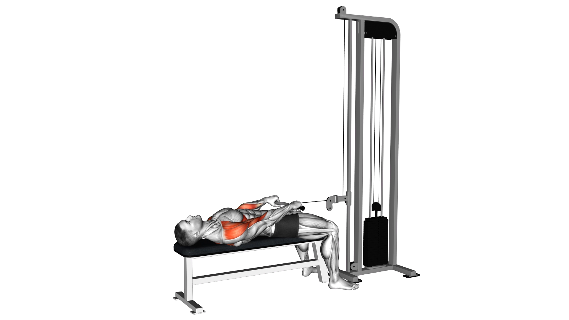 Cable Lying Upright Row (SZ bar) exercise demonstration