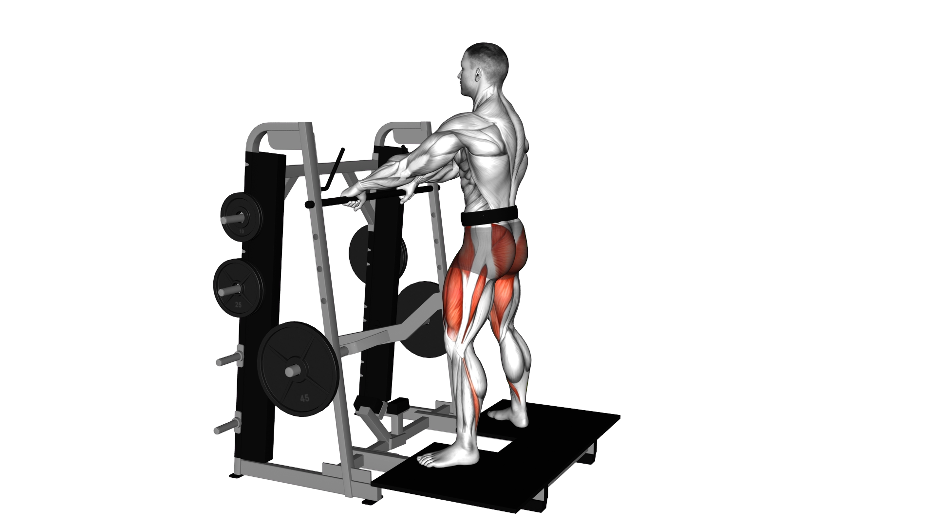 Lever Belt Sumo Squat exercise demonstration