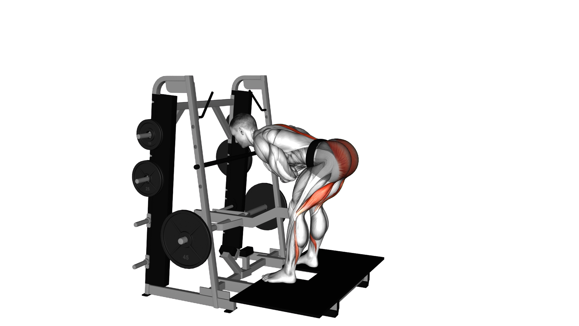 Lever Belt Romanian Deadlift exercise demonstration