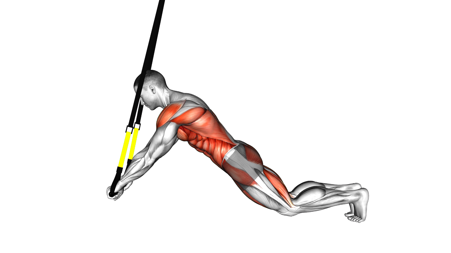 Suspender Extended Plank exercise demonstration