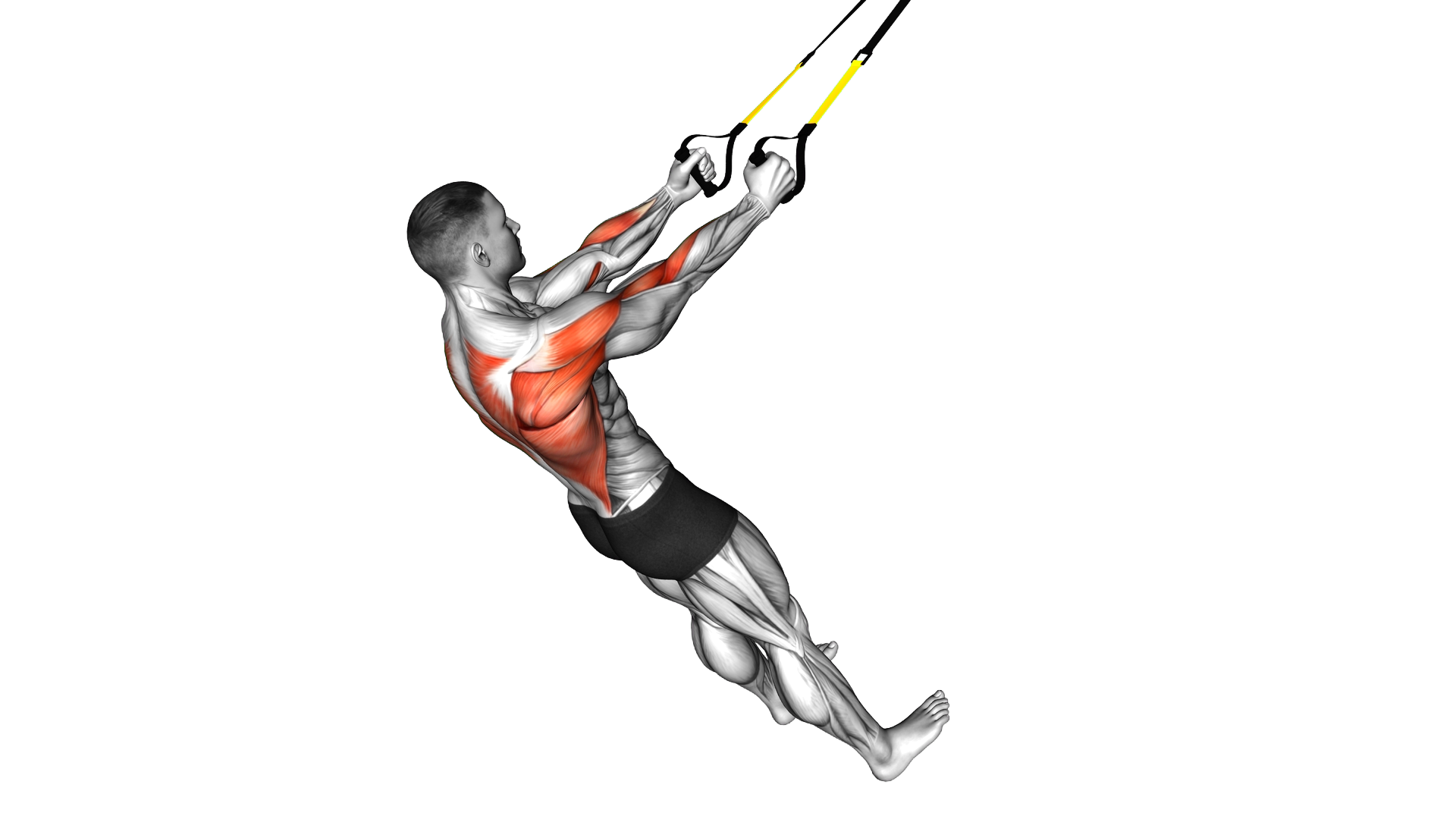 Suspender High Row exercise demonstration