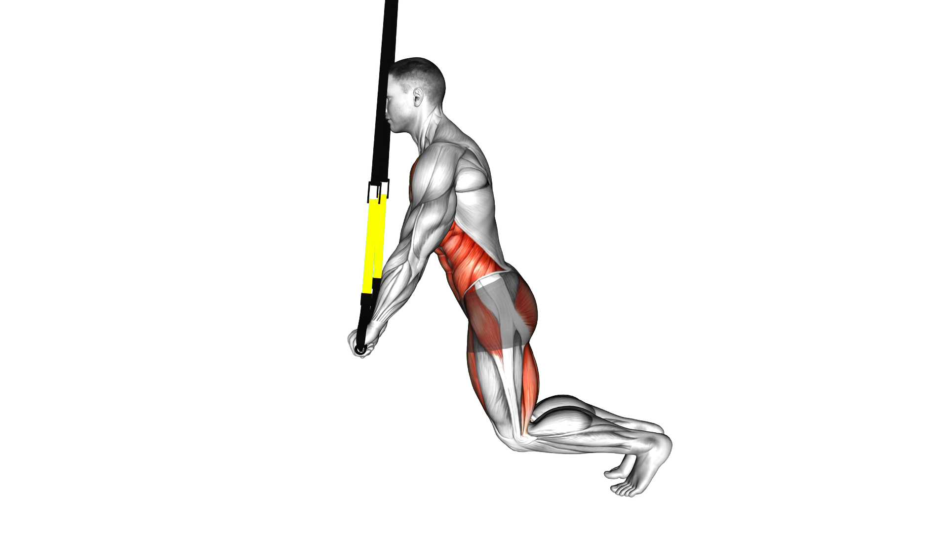 Suspender Incline Plank exercise demonstration