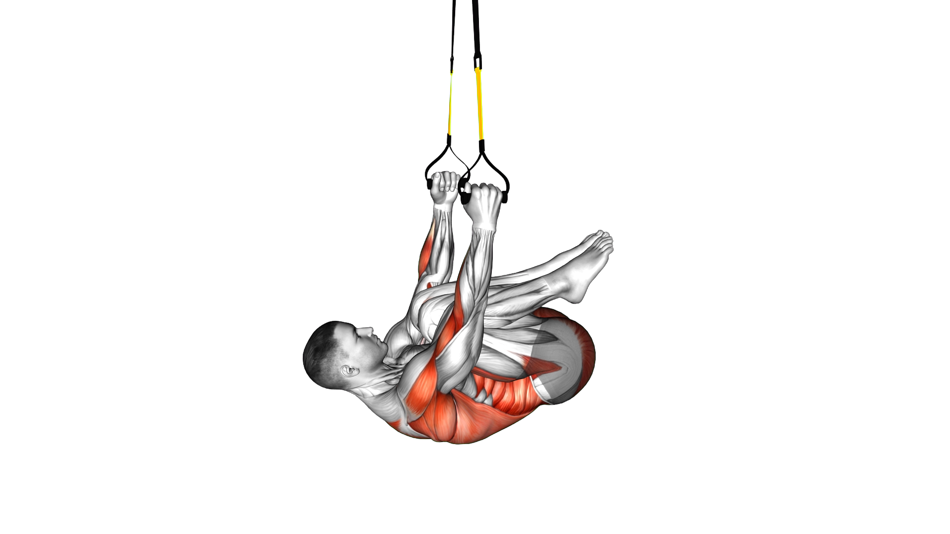 Suspender Knee Tuck Row exercise demonstration