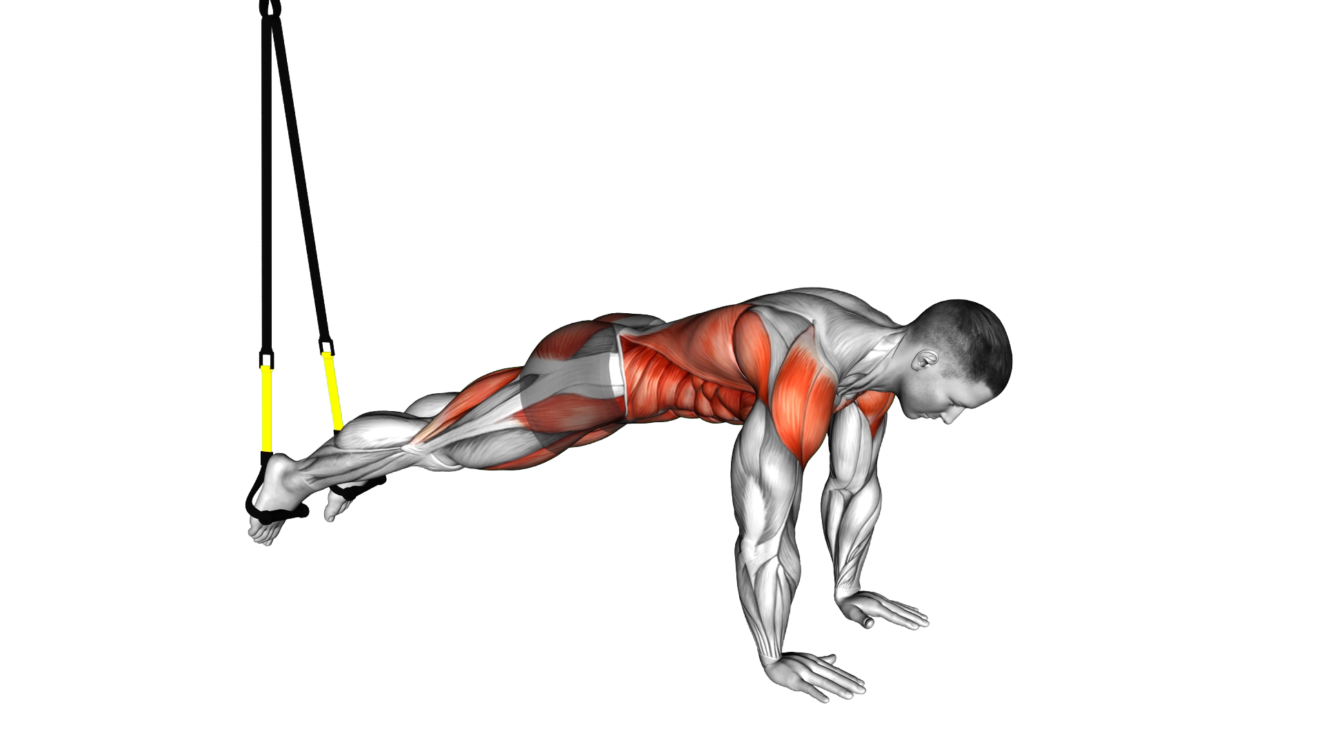 Suspender Pike exercise demonstration